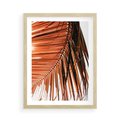 Plakat w ramie 50x70 - Słońce na Palmie - palma, promienie słońca - rama drewno