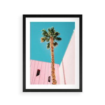 Plakat w ramie 50x70 - Palma w Miami - palma, miami - rama czarna