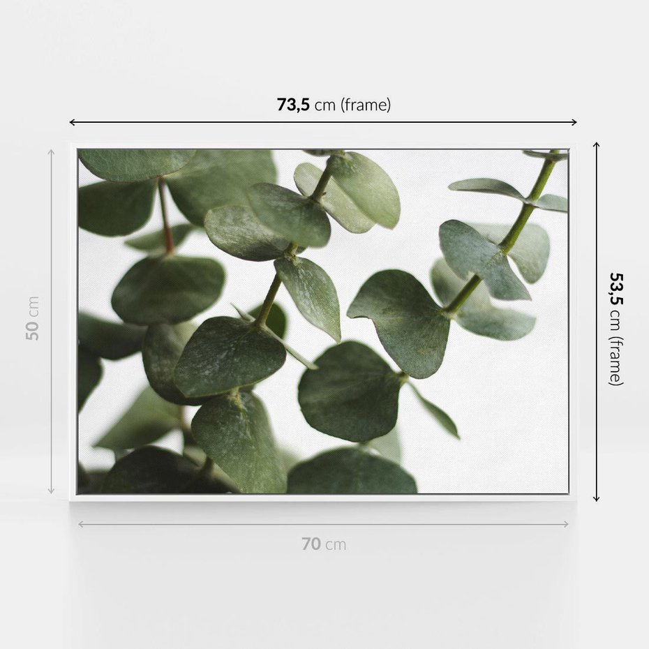 Obraz w ramie 70x50 - Zielone eukaliptusy - eukaliptus, liście - rama biała
