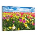 Obraz na płótnie 70x50 - tulipany na łące - kwiaty, tulipany