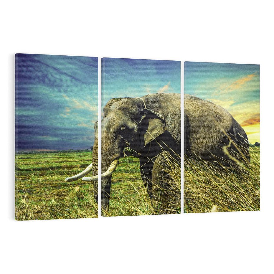 Obraz na płótnie 120x80 - Słoń w sawannie: Spotkanie z dziką przyrodą - słoń, sawanna