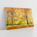 Obraz na płótnie 100x70 - Jesień w Lesie: Urok Lasu - jesień, las