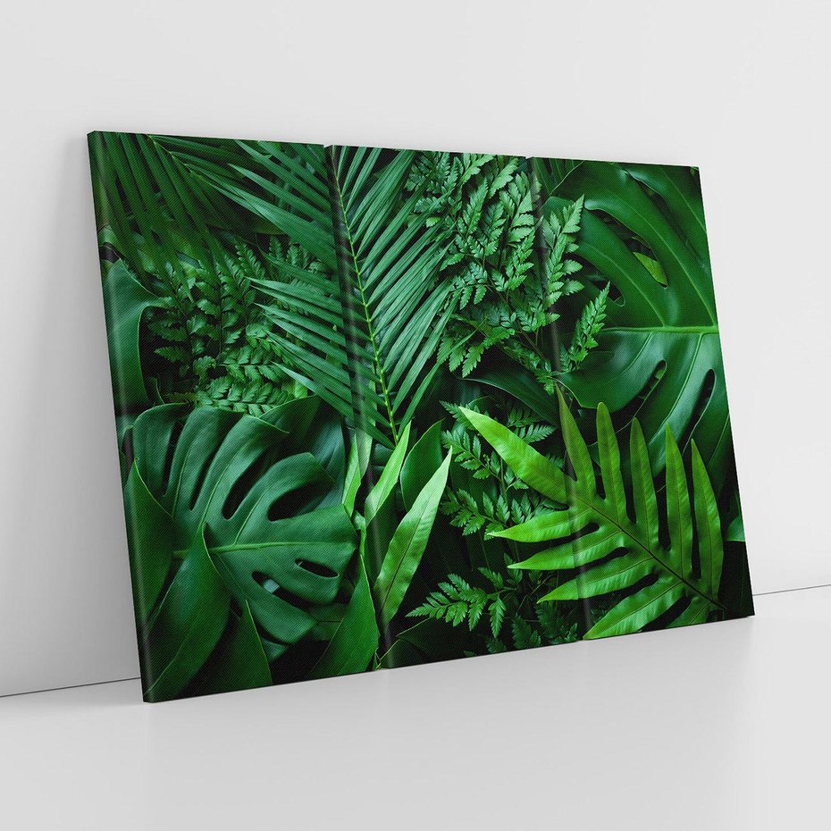 Obraz na płótnie 120x80 - Monstera Liście Fantazja - monstera, liście