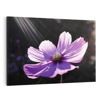 Obraz na płótnie 100x70 - Kwiatowy taniec natury - kwiat, kwiaty