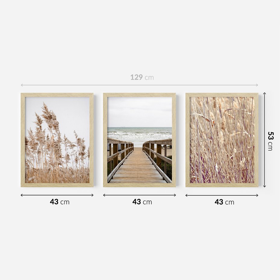 Zestaw obrazy w ramie 40x50 galeria - Trawy, morze, plaża, pampas - rama drewno