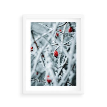 Plakat w ramie 50x70 - Zima na Gałęziach - zima, oszronione gałęzie - rama biała