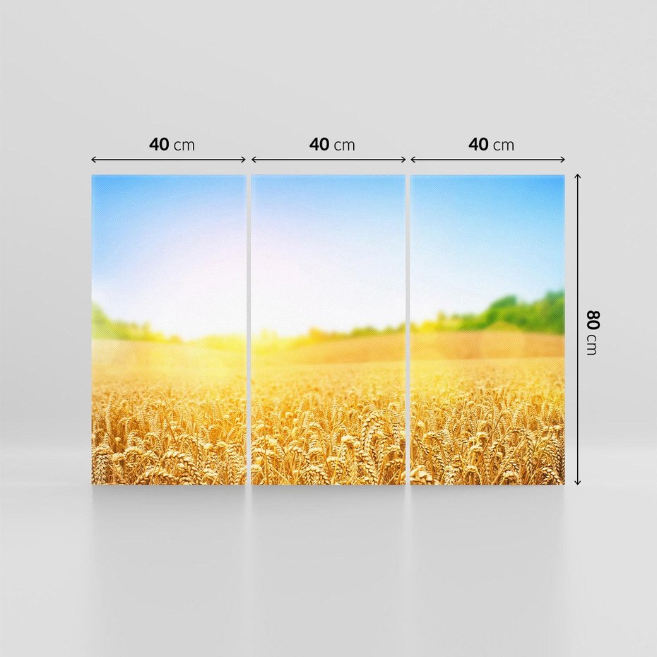 Obraz na płótnie 120x80 - Żyzne Pola - pole, pszenicy