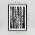 Plakat w ramie 50x70 - Kontrast Monochromatyczny - brzozy, czarno - rama czarna