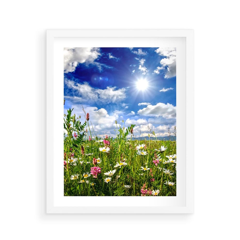 Plakat w ramie 40x50 - Niebiańska łąka pełna kwiatów - łąka, niebo - rama biała