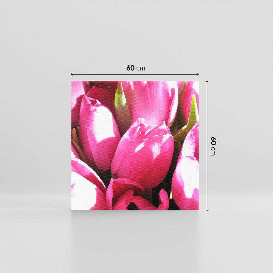 Obraz na płótnie 60x60 - Tulipany w pejzażu - tulipany, kwiaty