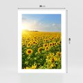 Plakat bez ramy 30x40 - Idylla na łące słoneczników - łąka, słoneczniki