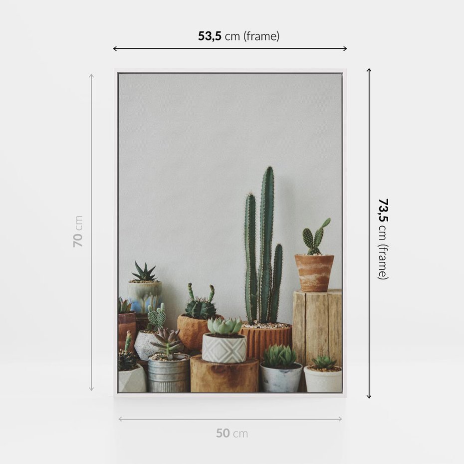 Obraz w ramie 50x70 - Naturalna Harmonia - kaktusy, liście - rama biała
