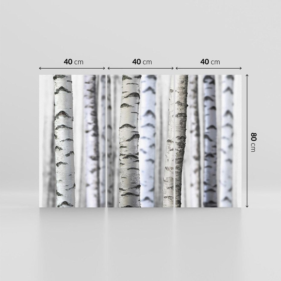 Obraz na płótnie 120x80 - Delikatność brzóz - brzozy, las