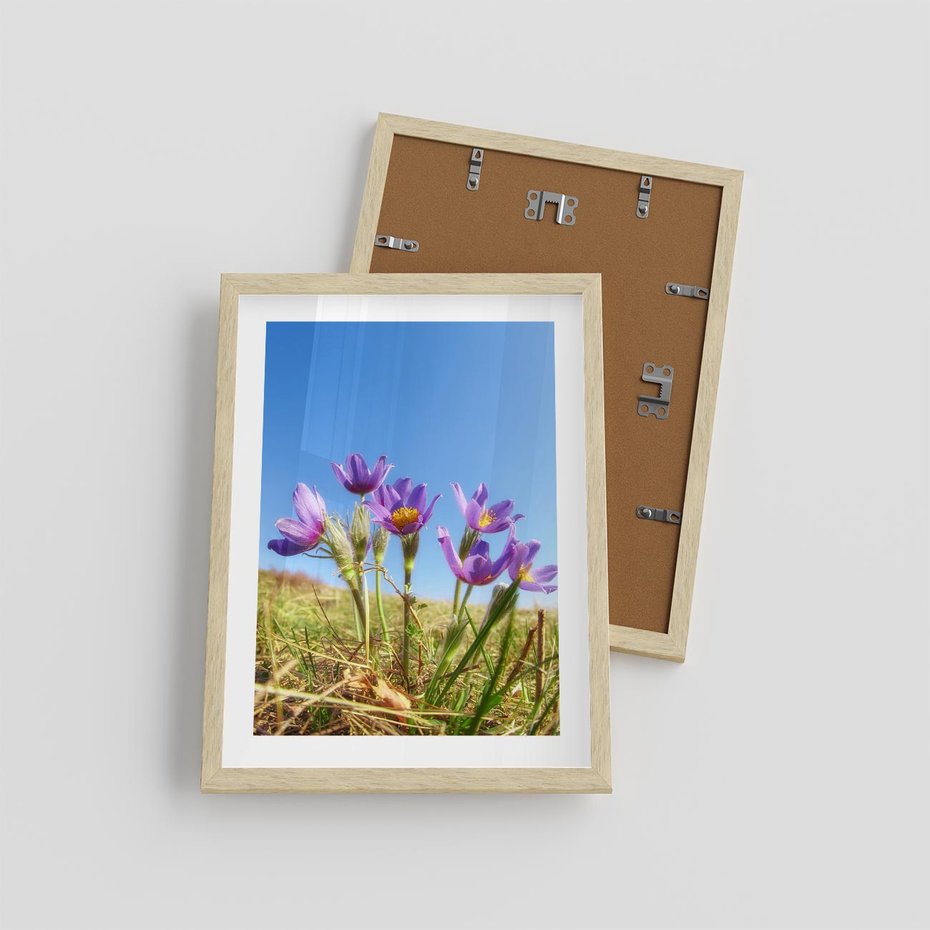 Plakat w ramie 30x40 - Kwiatowa siła łąki - kwiaty, łąka - rama drewno