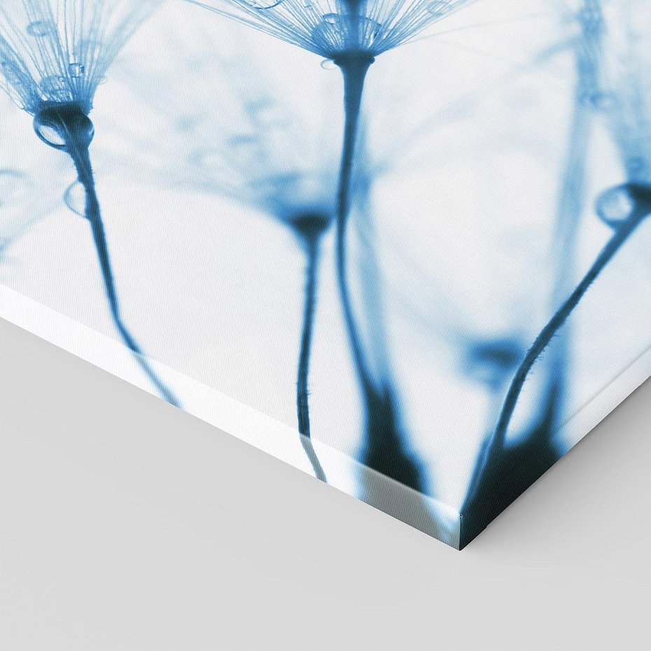 Obraz na płótnie 120x80 - Kwiat w kroplach wody - kwiat, krople