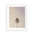 Plakat w ramie 40x50 - Samotna Palma pod Niebem - samotna palma, na tle nieba - rama biała