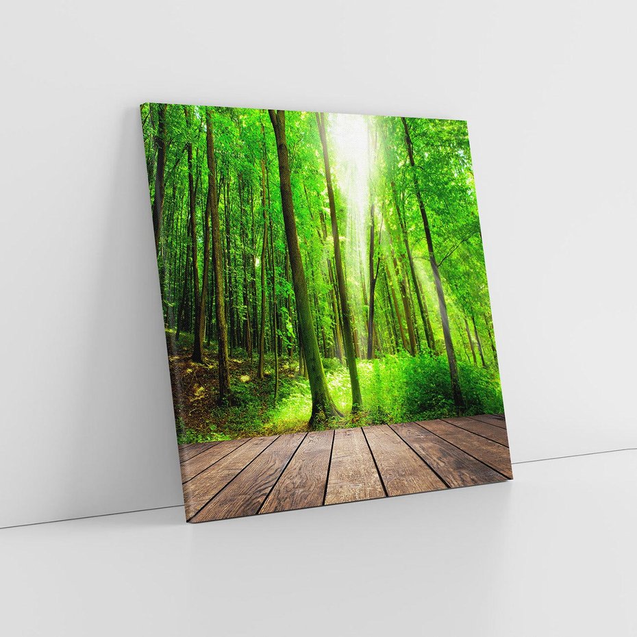 Obraz na płótnie 40x40 - Spacer po urokliwej dróżce w lesie - las, dróżka