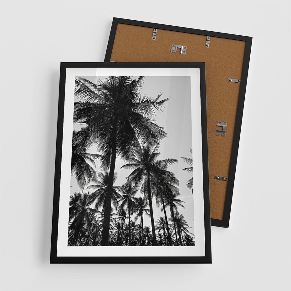 Plakat w ramie 50x70 - Mono Tropiki - palmy, drzewa palmowe - rama czarna