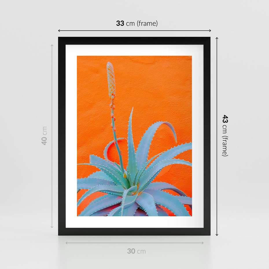 Plakat w ramie 30x40 - Naturalna Harmonia - kaktusy, liście - rama czarna