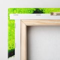 Obraz na płótnie 30x30 - Świeżość i kwasowość limonki - limnka, owoce