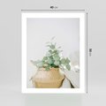 Plakat bez ramy 40x50 - Eukaliptusowa Świeżość - eukaliptus, liście w koszu z wikliny