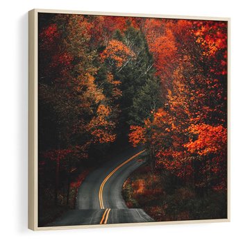 Obraz w ramie 80x80 - Jesienne Podróżowanie - fotografia, jesień - rama drewno