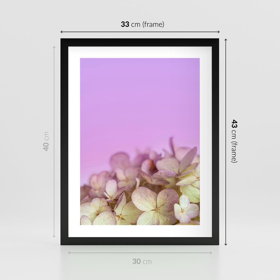 Plakat w ramie 30x40 - Kwiatowa Uroda - kwiaty, hortensje - rama czarna