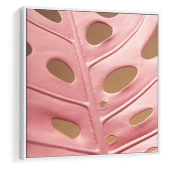 Obraz w ramie 50x50 - Różowa monstera w pełnym rozkwicie - różowa, monstera - rama biała