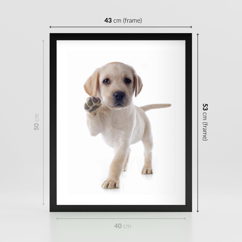Plakat w ramie 40x50 - Szczeniak pełen radości - piesek, szczeniak - rama czarna