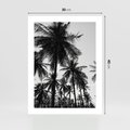 Plakat bez ramy 30x40 - Mono Tropiki - palmy, drzewa palmowe