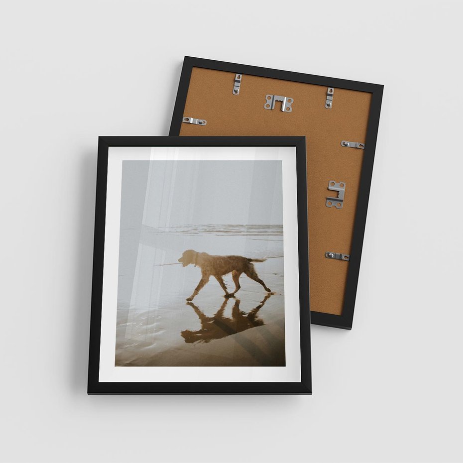 Plakat w ramie 40x50 - Przyjaciel na Plaży - pies, na plaży - rama czarna