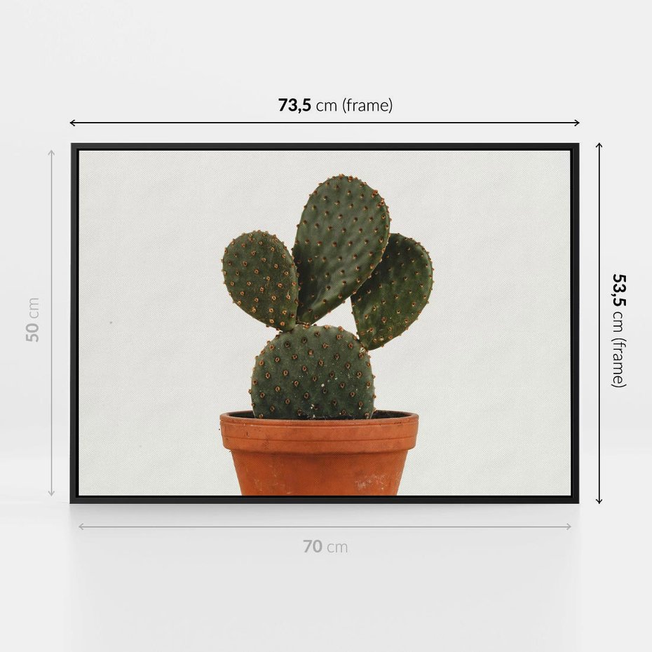 Obraz w ramie 70x50 - Kwiatowy taniec kaktusa - kaktus, kwiat - rama czarna