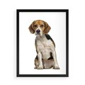 Plakat w ramie 50x70 - Wierność i radość - pies, piesek - rama czarna