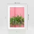 Plakat w ramie 30x40 - Fotografia Rośliny z Różowym Tłem - fotografia, zielona roślina na tle różwj ściany - rama biała