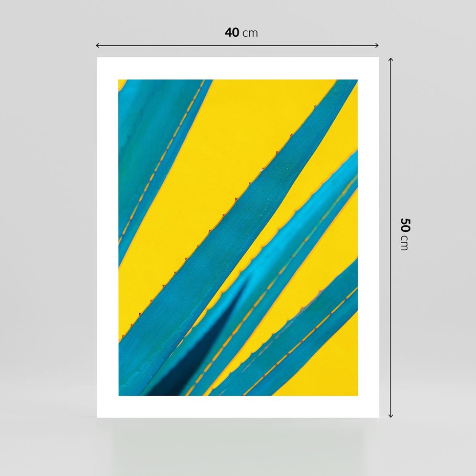 Plakat bez ramy 40x50 - Świeżość Natury - aloes, liście