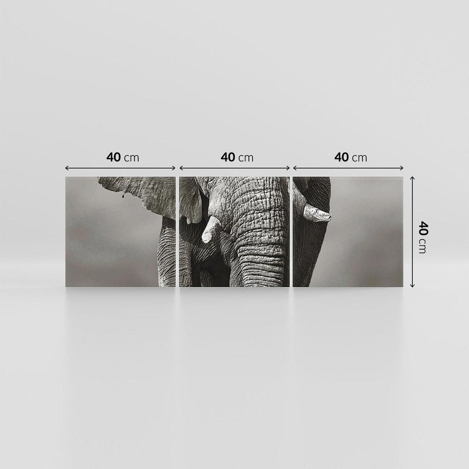 Obraz na płótnie 120x40 - Majestatyczny słoń Afryki - słoń, Afryka