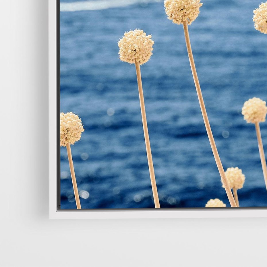 Obraz w ramie 50x50 - Kontrasty Natury - fotografia, pierwszy plan sucha roślinność - rama biała