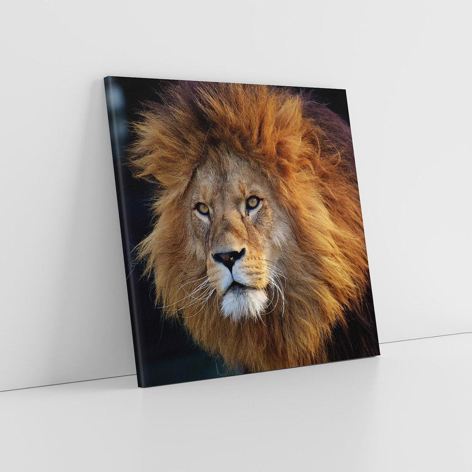Obraz na płótnie 80x80 - Lew - Król Zwierząt - lew, zwierzęta
