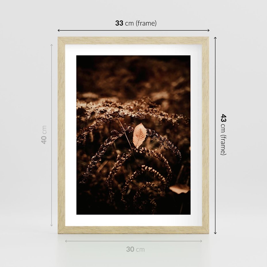 Plakat w ramie 30x40 - Gałęzie i Liść w Brązowej Tonacji - suche gałęzie, liść - rama drewno