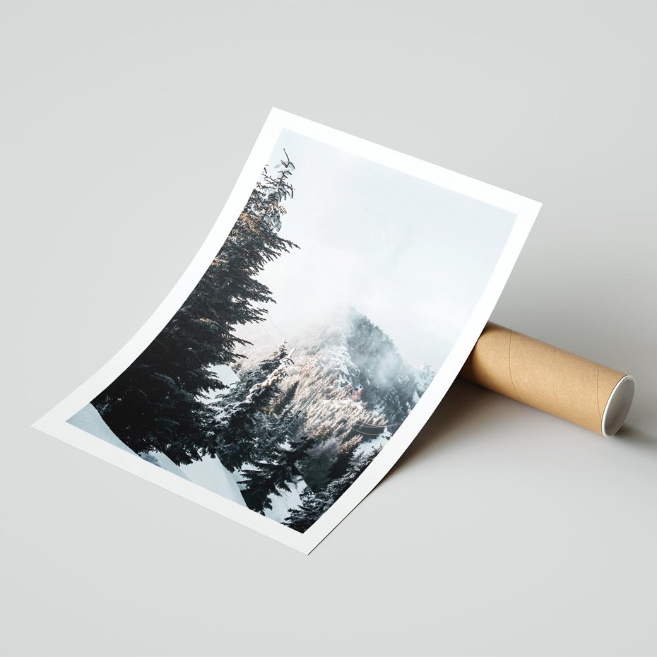 Plakat bez ramy 30x40 - Góry, Las i Śnieg na Obrazie - góry, las