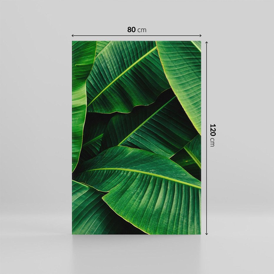 Obraz na płótnie 80x120 - Zaklęta roślinna ekspresja - liście bananowca, gęsto ułożone