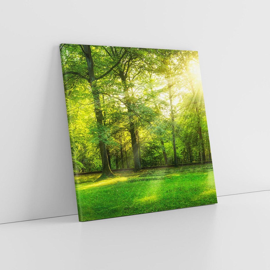 Obraz na płótnie 60x60 - Moc lasu - las, drzewa