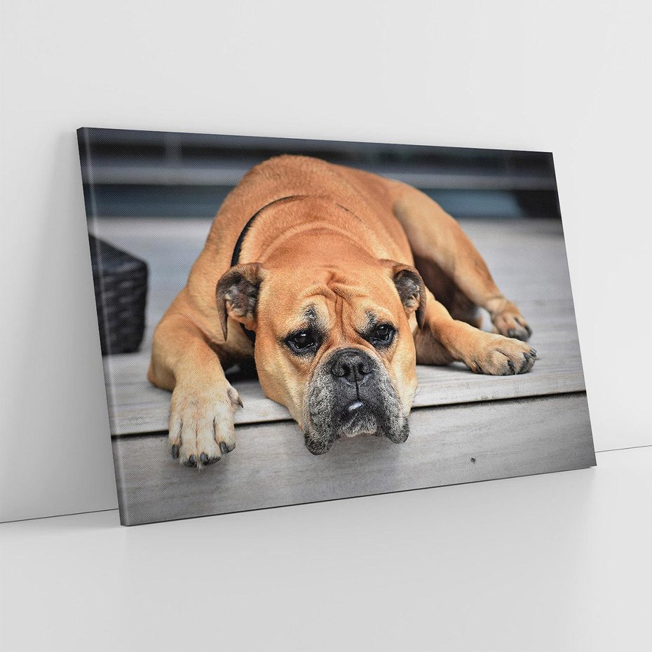 Obraz na płótnie 120x80 - Wernisaż piesek i zwierzaki - pies, piesek