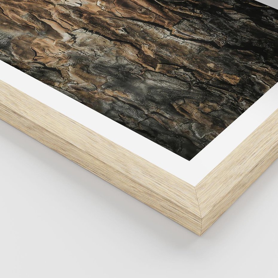 Plakat w ramie 30x40 - Tekstura Drewna: Zbliżenie - zbliżenie na pień drzewa, tekstura - rama drewno