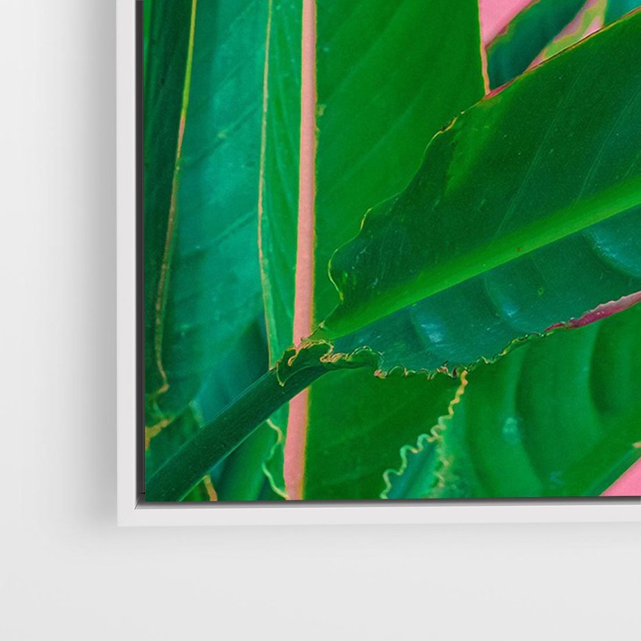 Obraz w ramie 100x70 - Odezwij się do przeszłości - liście, retro - rama biała