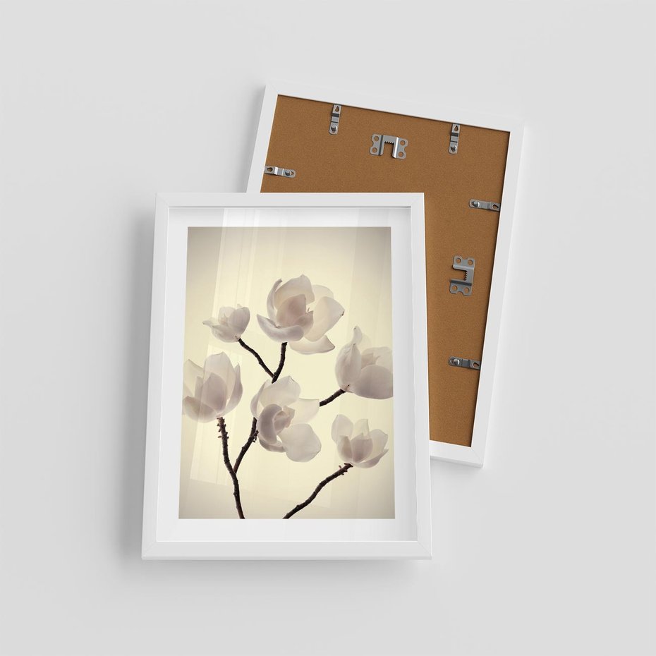 Plakat w ramie 30x40 - Elegancja Natury - magnolia, białe - rama biała