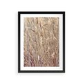 Plakat w ramie 30x40 - Suche Trawy w Wyjątkowym Stylu - suche trawy, boho styl - rama czarna