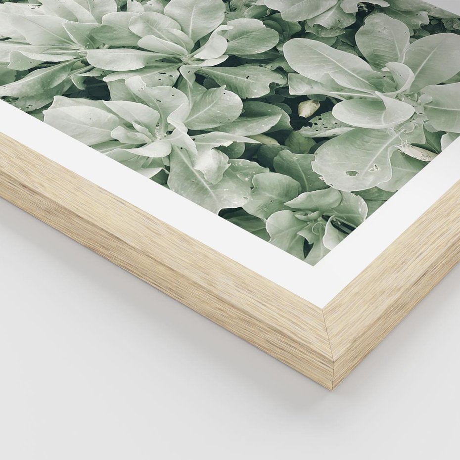 Plakat w ramie 40x50 - Liście w Jasnych Odcieniach Zielonego - liście, jasna zieleń fotografia - rama drewno