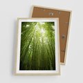Plakat w ramie 50x70 - Siła Natury - drzewa, las - rama drewno