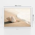 Obraz w ramie 70x50 - Urok plażowej muszelki - fotografia, muszla na plaży - rama biała